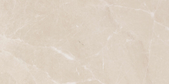 CLASSIC BEIGE CLASSIC BEIGE